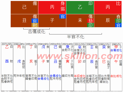  Judit Polgar Judit Polgár八字 BaZi Four Pillars of Destiny Patt Chee